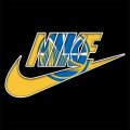 Golden State Warriors Nike logo Iron On Transfer