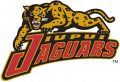 IUPUI Jaguars 1998-2007 Alternate Logo Iron On Transfer
