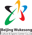 2008 Beijing Olympics 2008 Stadium Logo Iron On Transfer