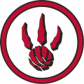 Toronto Raptors 2008-2012 Alternate Logo Iron On Transfer
