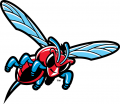 Delaware State Hornets 2004-Pres Misc Logo 02 Print Decal