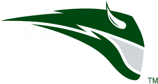 Portland State Vikings 1999-2015 Secondary Logo 01 Print Decal