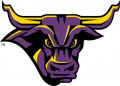 Minnesota State Mavericks 2001-Pres Partial Logo Iron On Transfer