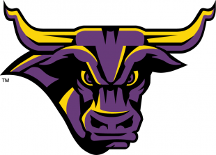 Minnesota State Mavericks 2001-Pres Partial Logo Print Decal