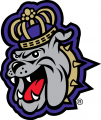 James Madison Dukes 2013-2016 Alternate Logo 01 Iron On Transfer