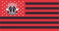 Washington Wizards Flag001 logo Print Decal