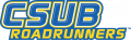 CSU Bakersfield Roadrunners 2006-Pres Wordmark Logo 04 Print Decal