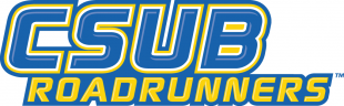 CSU Bakersfield Roadrunners 2006-Pres Wordmark Logo 04 Iron On Transfer