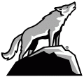 North Carolina State Wolfpack 2006-Pres Alternate Logo 01 Print Decal