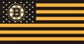 Boston Bruins Flag001 logo Iron On Transfer