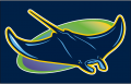 Tampa Bay Rays 2018-Pres Cap Logo Print Decal