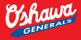 Oshawa Generals 1984 85-2005 06 Alternate Logo Print Decal