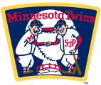 Minnesota Twins 2009-Pres Alternate Logo Iron On Transfer