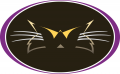 Western Carolina Catamounts 1996-2007 Alternate Logo 07 Print Decal