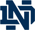 Notre Dame Fighting Irish 1994-Pres Alternate Logo 04 Iron On Transfer