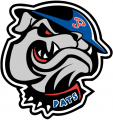 Regina Pats 2002 03-Pres Alternate Logo Print Decal