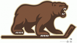 Hershey Bears 2012-Pres Alternate Logo 2 Iron On Transfer