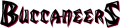 Tampa Bay Buccaneers 1997-2013 Wordmark Logo 01 Iron On Transfer