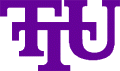 Tennessee Tech Golden Eagles 1997-2005 Primary Logo Iron On Transfer