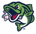 Gwinnett Stripers 2018-Pres Alternate Logo Print Decal