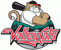 Tri-City Valleycats 2002-Pres Primary Logo Print Decal