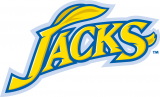 South Dakota State Jackrabbits 2008-Pres Wordmark Logo Print Decal