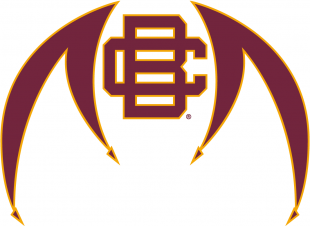 Bethune-Cookman Wildcats 2010-2015 Alternate Logo Iron On Transfer