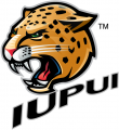 IUPUI Jaguars 2008-Pres Secondary Logo Iron On Transfer
