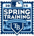 Tampa Bay Rays 2015 Event Logo Print Decal
