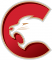 Prince George Cougars 2015 16-Pres Primary Logo Iron On Transfer