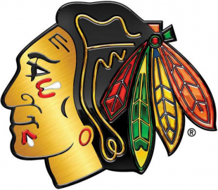 Chicago Blackhawks 2013 14 Special Event Logo Iron On Transfer