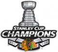 Chicago Blackhawks 2014 15 Champion Logo Print Decal