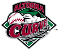 Altoona Curve 1999-2010 Primary Logo Print Decal