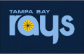 Tampa Bay Rays 2012-2018 Jersey Logo Iron On Transfer