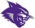 Abilene Christian Wildcats 2013-Pres Partial Logo Iron On Transfer