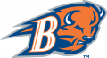 Bucknell Bison 2002-Pres Alternate Logo 02 Print Decal