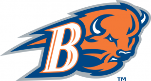 Bucknell Bison 2002-Pres Alternate Logo 02 Iron On Transfer