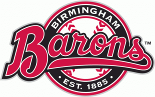 Birmingham Barons 2008-Pres Primary Logo Print Decal