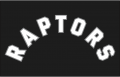 Toronto Raptors 2015-Pres Jersey Logo Iron On Transfer