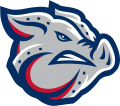 Lehigh Valley IronPigs 2008-Pres Alternate Logo Print Decal