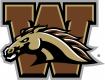 Western Michigan Broncos