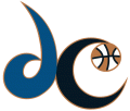 WNBA 1998-2010 Alternate Logo Print Decal