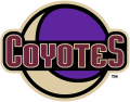 Arizona Coyotes 2018 19-Pres Alternate Logo Iron On Transfer