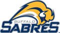 Buffalo Sabres 2006 07-2009 10 Wordmark Logo Print Decal