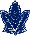 Toronto Maple Leafs 2000 01-2006 07 Alternate Logo 02 Iron On Transfer