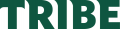 William and Mary Tribe 2018-Pres Wordmark Logo 01 Iron On Transfer