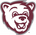 Montana Grizzlies 2010-Pres Mascot Logo 04 Print Decal