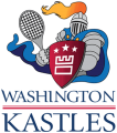 Washington Kastles 2008 Primary Logo Print Decal