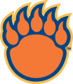Morgan State Bears 2002-Pres Alternate Logo 03 Iron On Transfer