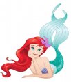 Ariel Logo 03 Print Decal